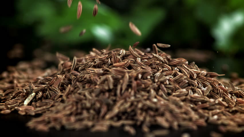 Cumin seeds fall on the table. Filmed on a high-speed camera at 1000 fps. High quality FullHD footage