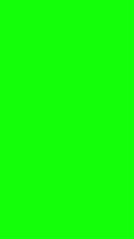 Shutterstock Video
