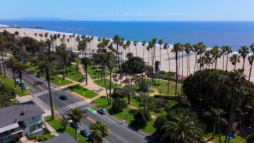 Scenic Static Aerial View of Santa Monica Beach and Palms