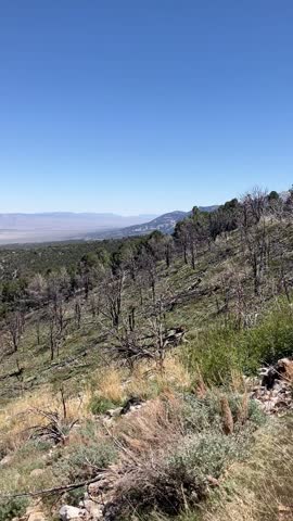Scenic view of Great Basin National Park