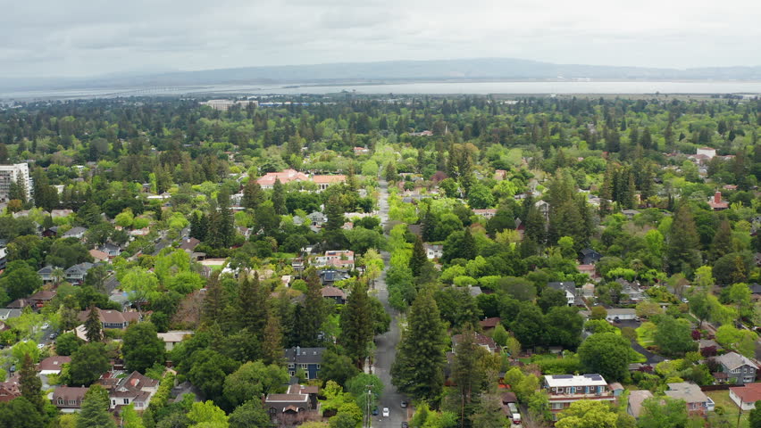Aerial view of Palo Alto California suburban residential homes, green trees 05 - Aerial Drone View