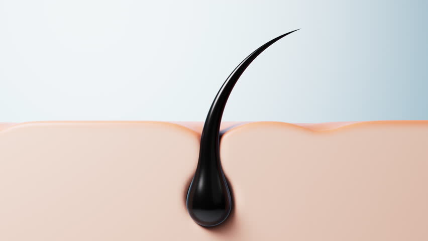 Skin with hair in pores, hair treatment concept, 3d rendering. Motion graphic.