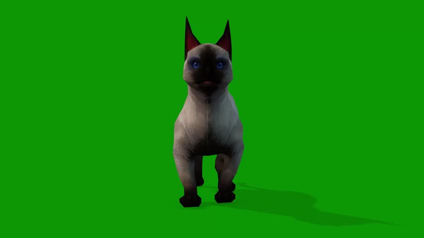 A cute white cat idle scene from Front 3d rendering animation on green screen.