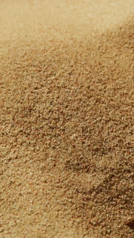 A dust cloud rises as vehicles drive along a dirt road in a rural area. The sun shines brightly, illuminating the landscape and creating a warm atmosphere during the afternoon.