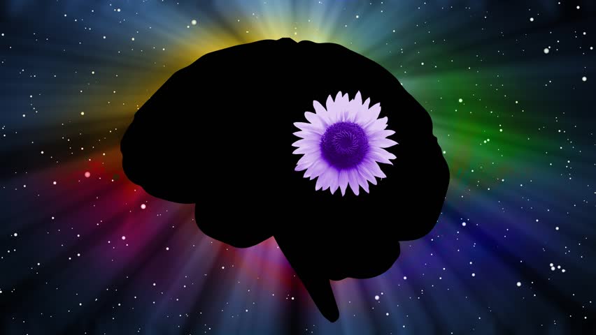 Brain Silhouette with flower effect in pineal gland area
