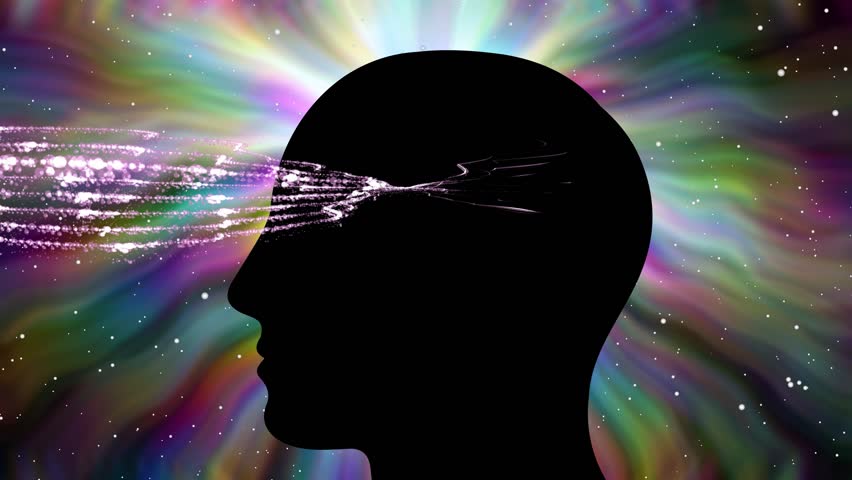 Brain Silhouette with flower effect in pineal gland area