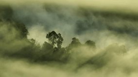 A scenic aerial view of dense fog rolling over lush green mountain forests, where the misty atmosphere enhances the tranquility and mystery of the natural landscape. Thailand.
 - Powered by Shutterstock - Get 15% off with code: PIKWIZARD15