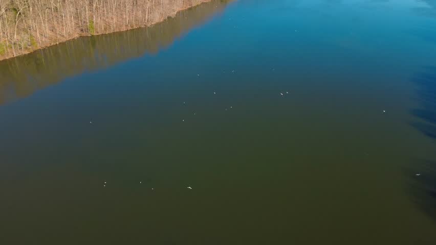Lake and Woods in Virginia