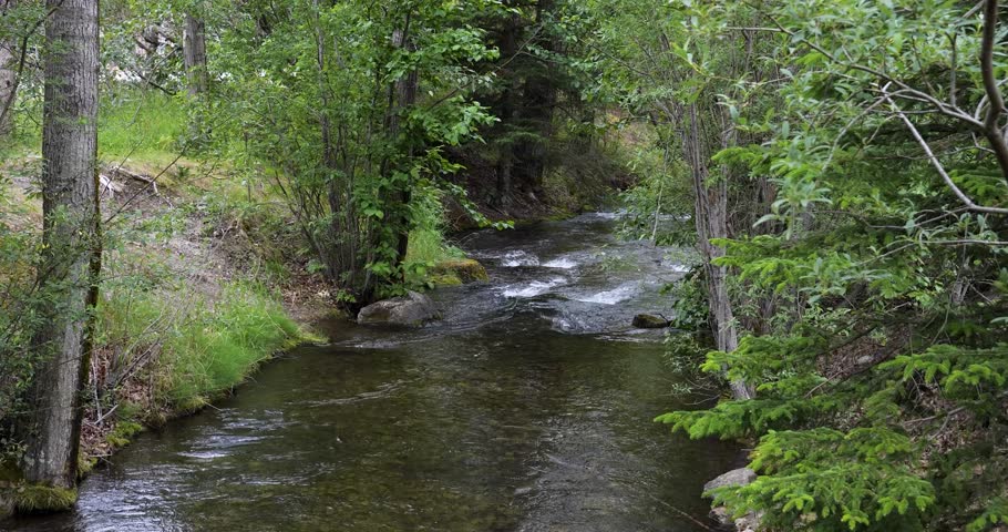 Pullen Creek Stream Walk in Skagway, Alaska.
