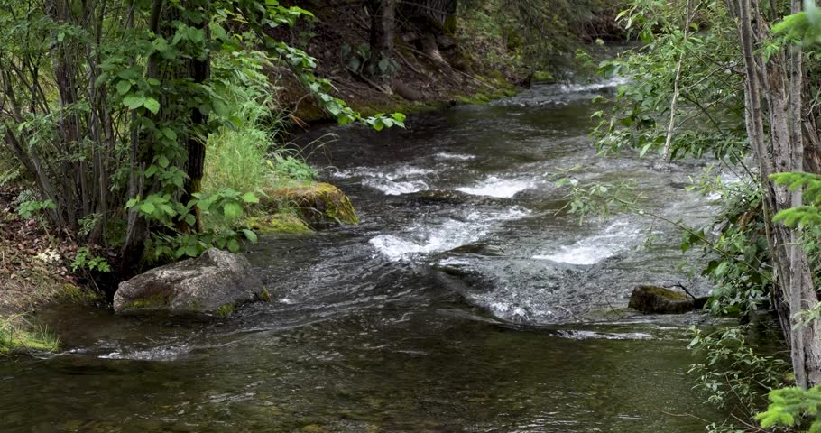 Pullen Creek Stream Walk in Skagway, Alaska.
