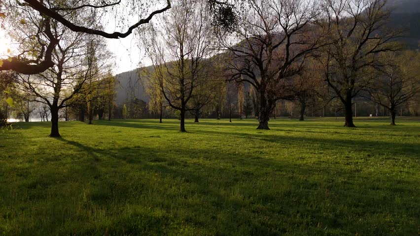 Forest walk golden sky sun rays sunbeam sunrise sunset Switzerland outdoor