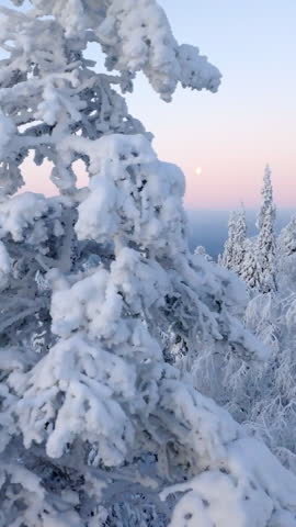 Vertical aerial in front of frozen forest, moon and polar night colors in Lapland
