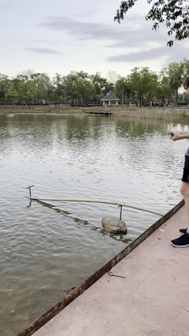 Handheld Shot of Man Feeding Fish in Pond of City Park at Sunset. Reflection of Sunset on Water, Green Trees, Small Pavilion, Emphasizing Human-Nature Interaction and Environmental Care for Earth Day