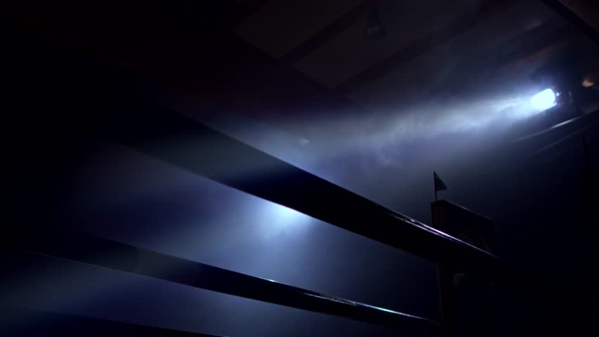 Slow motion medium low angle handheld shot of a horse with rider jumping over an obstacle at night. Shot in Slovenia.