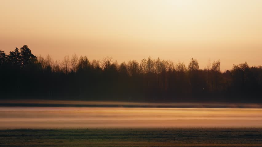 Red Sunrise with Fog and Silhouettes of Trees in Forest on Sunny Morning