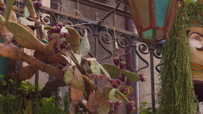 Panning shot of Sicilian Moorish Heads hanging full of plants, exuding a traditional Sicilian vibe, in Taormina, Sicily, Italy (Sicilia, Italia)
