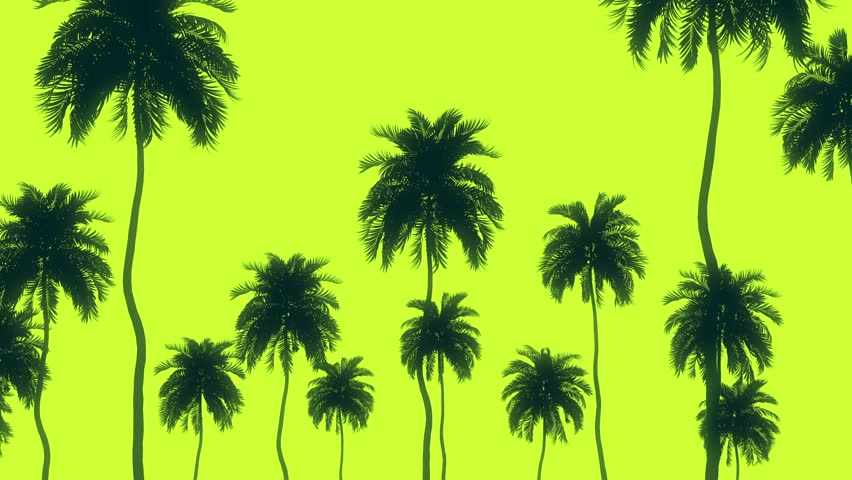 Shutterstock Video