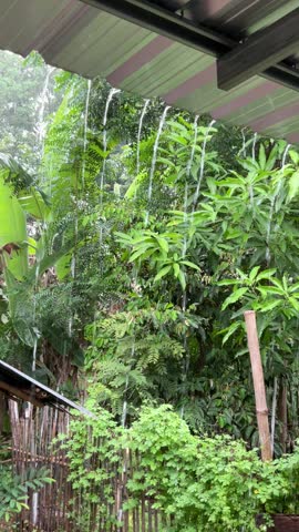 Rainy day with cozy feeling at our own back yard.