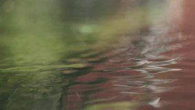 Water droplets falling onto a mirror like surface, generating expanding ripples and subtle color distortions with delicate, shifting reflective patterns - Powered by Shutterstock - Get 15% off with code: PIKWIZARD15