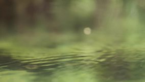 Close up slow motion of drops falling on a green water surface, creating concentric ripples expanding outwards, with a blurred natural background - Powered by Shutterstock - Get 15% off with code: PIKWIZARD15