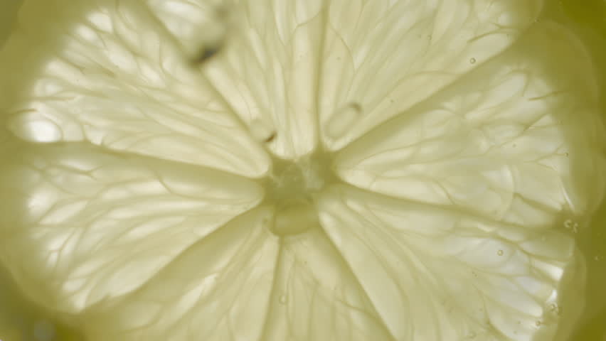 Drops of liquid falling on fresh sliced lemon pieces in slow motion. Beautiful ice water splash on lemon slices in macro. Vitamin C or serum acid in cosmetic product