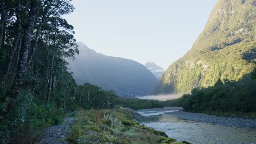 Mountains and dense forest by river flowing in Milford Sound in New Zealand. Thick vegetation on a walk path or hiking trail in the wilderness of Fiordland in South Island. Picturesque view in winter