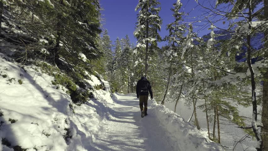 Rear view of a man hiking the snowy Eibsee trail in Bavaria, Germany. Scenic winter walk near Zugspitze, alpine lake, pine forest, mountains. Peaceful travel destination in German Alps. 