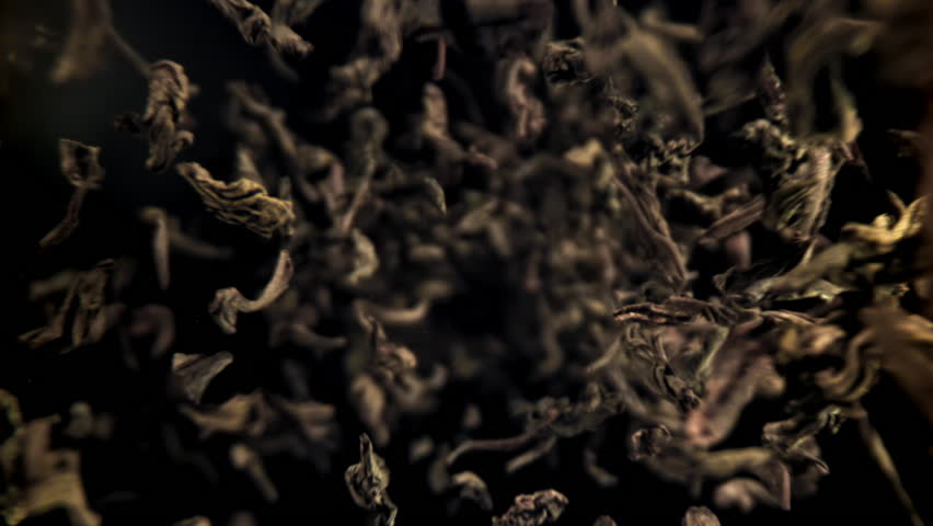 Dry tea leaves fall down. Filmed on a high-speed camera at 1000 fps. High quality FullHD footage