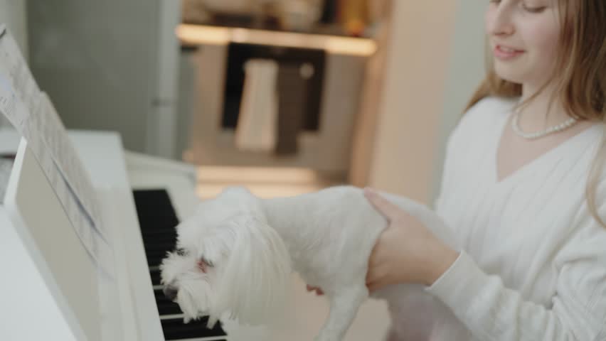 Shutterstock Video