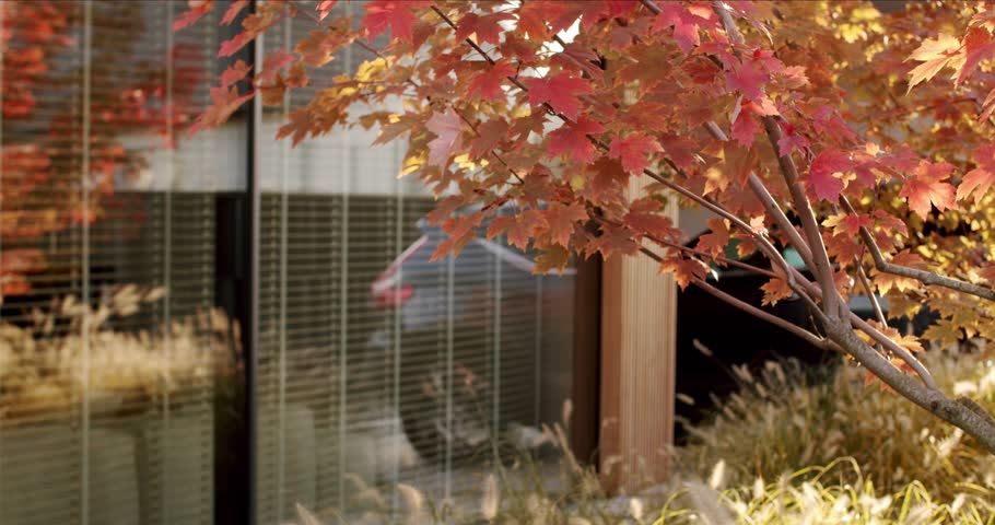 An office building is reflected in the glass window, blending nature and urban life seamlessly. Perfect for projects related to autumn, nature, cityscapes, or tranquility.