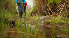 A person walks along a muddy trail with small streams in Mantiqueira, Minas Gerais, Brazil - Powered by Shutterstock - Get 15% off with code: PIKWIZARD15