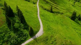 Cyclist pushes uphill on a gravel bike across serpentine mountain roads in Switzerland. Summer cycling tour in the Alps captured from above nature, endurance, and adventure in every frame.  - Powered by Shutterstock - Get 15% off with code: PIKWIZARD15