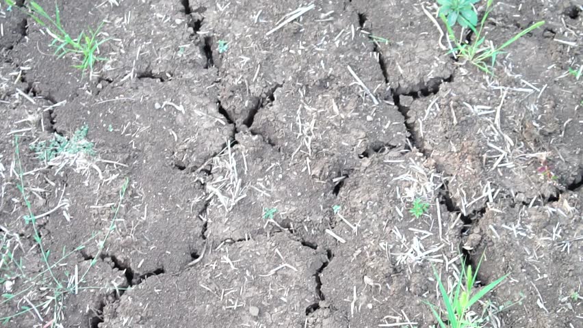 field land of cracked soil caused by long draught. inspect soil field, Organic gardening agricultural crop management concept.