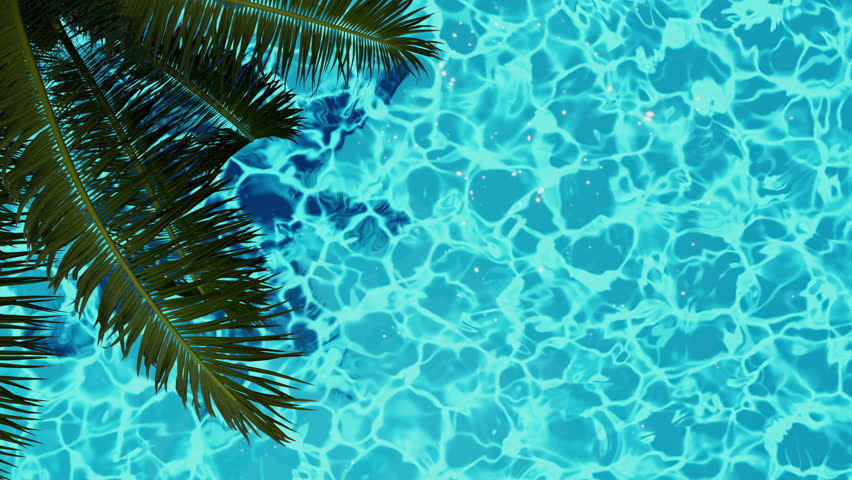 Palm leaves above pool loop 3D animation. 3D Illustration