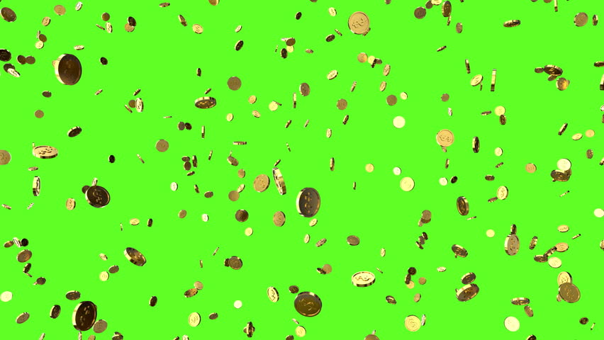 Falling coins or money golden rain motion background. Loop. Green screen, chromakey