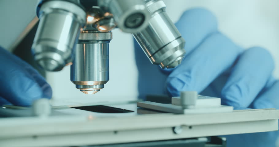 Close-up of biologist gloved hands using microscope in sterile laboratory. Vibrant blue gloves highlight precise scientific work against monochromatic lab backdrop