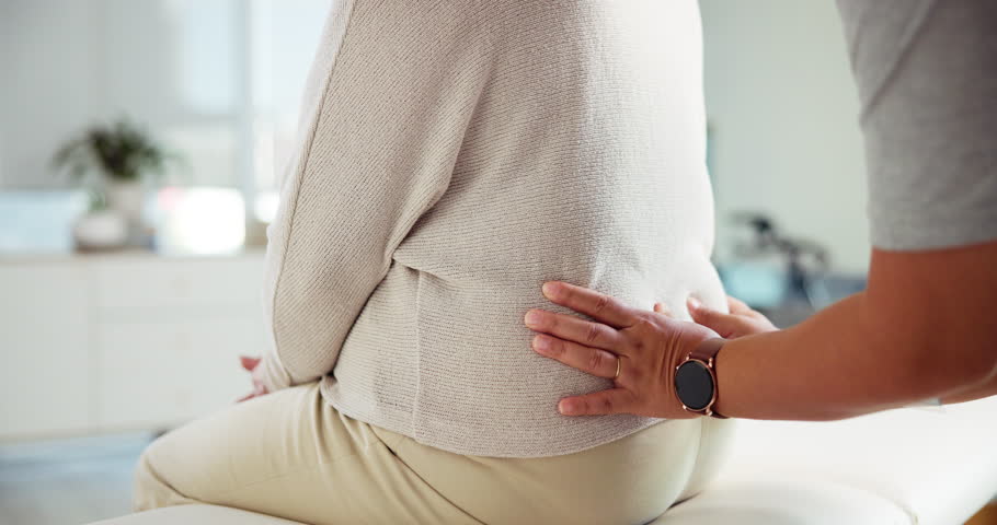 Person, hands or physiotherapist with patient for back pain, injury or massage at clinic. Closeup, chiropractor or helping client with healthcare service for muscle recovery or medical rehabilitation