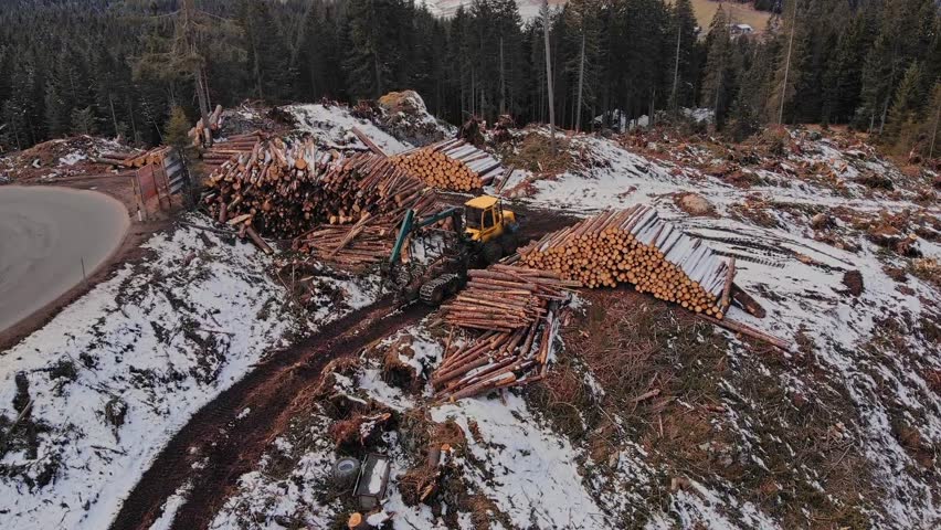 Efficient logging operations in snowcovered forest with heavy machinery, timber truck work
