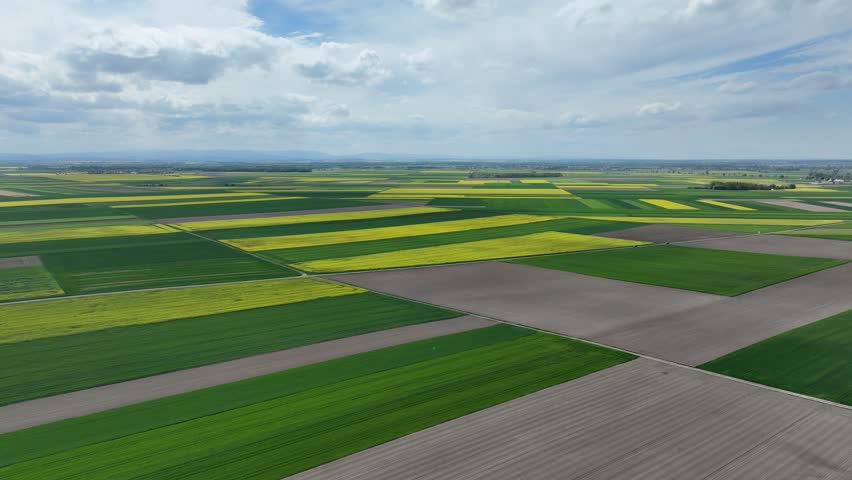 Aerial drone view of beautiful yellow fields rapeseed.Village country farming shapes in fields. Spring fields of yellow blooming rapeseed, growing plants. Fields in the Opole village from a drone.