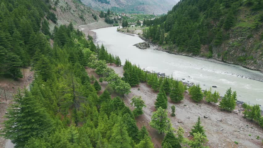 4K Aerial shot of summer landscape of Indian Himalayas. Chenab river flowing in Lahaul Valley and pine trees on river side. Indus river. Travel and holidays concept.