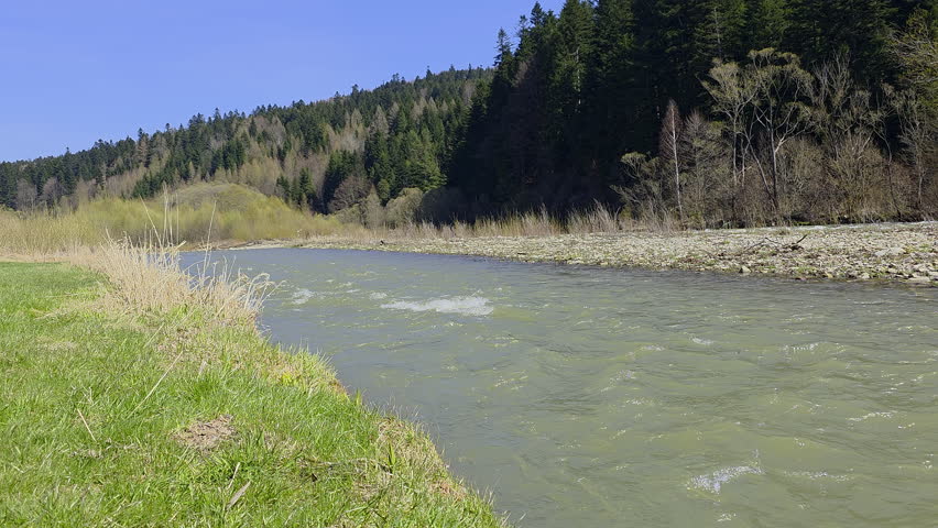 Mountain river flowing through forested landscape under clear blue sky, spring nature scenery