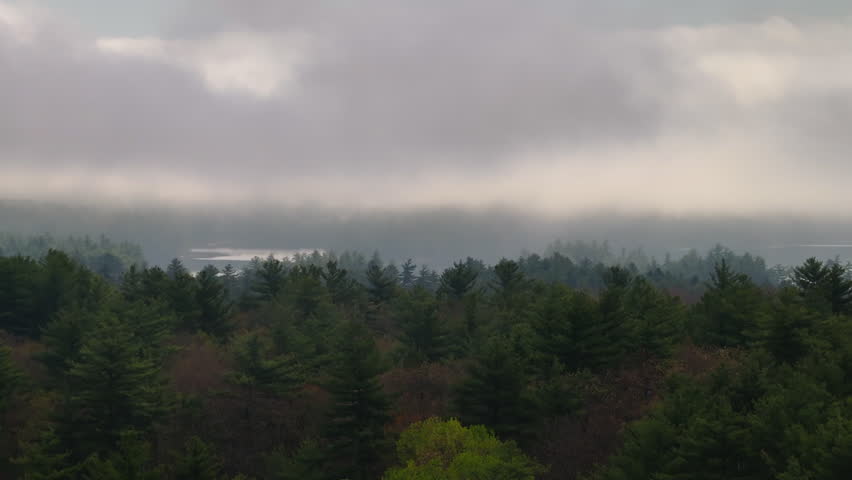 Aerial view of a forest in New Hampshire. Shot on an overcast day.