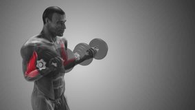 Arm Muscle Highlighted During Biceps Curl with copyspace - Powered by Shutterstock - Get 15% off with code: PIKWIZARD15