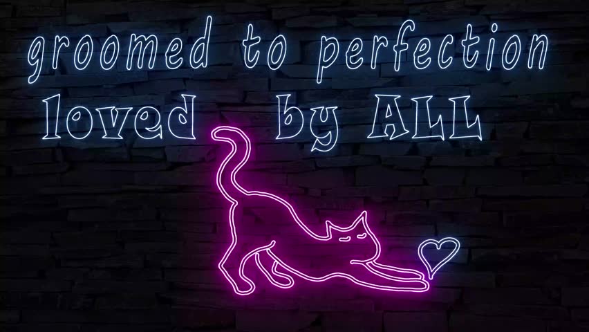 Groomed to perfection loved by ALL, illuminated 3d illustration fluorescent retro neon sign silhouette of cat playing eye catching for pet salon, groomers, perfect 10s 4k advertisement campaign