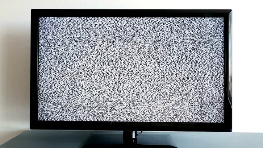 Shutterstock Video