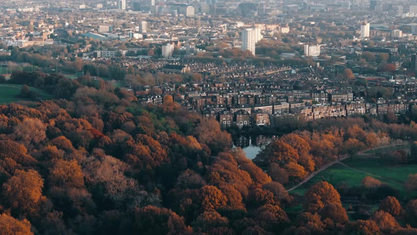 Circular drone move panning up over Hampstead Heath trees with varied fall tones, establishing autumn foliage and urban dense backdrop