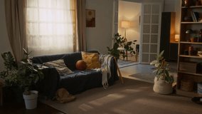 No people shot of warmly lit living room featuring navy blue sofa, houseplants, bookshelves, and soft ambiance with layered lighting and earthy tones - Powered by Shutterstock - Get 15% off with code: PIKWIZARD15