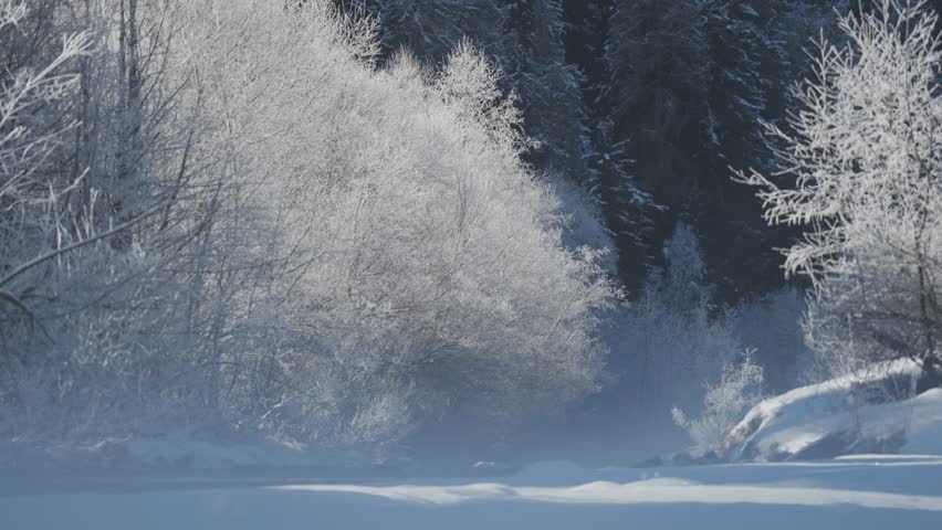 The frosted trees and snowbanks reflect soft sunlight along a cold mountain stream in deep winter.