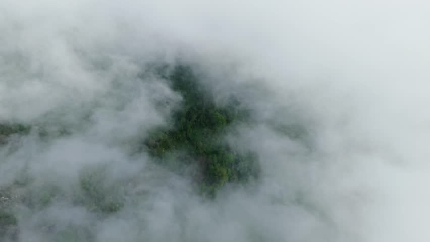 Big clouds drifting over a lush green forest, captured from an aerial viewpoint, creating a serene atmosphere