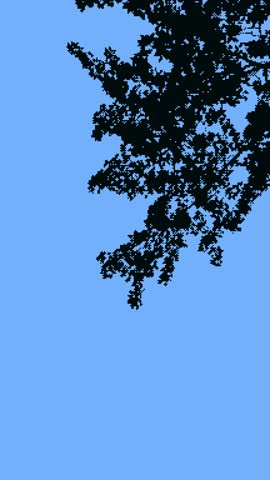 Minimal animation of tree branches swaying in the wind against a clear blue sky. Pixel dithering effect for stylized visuals.